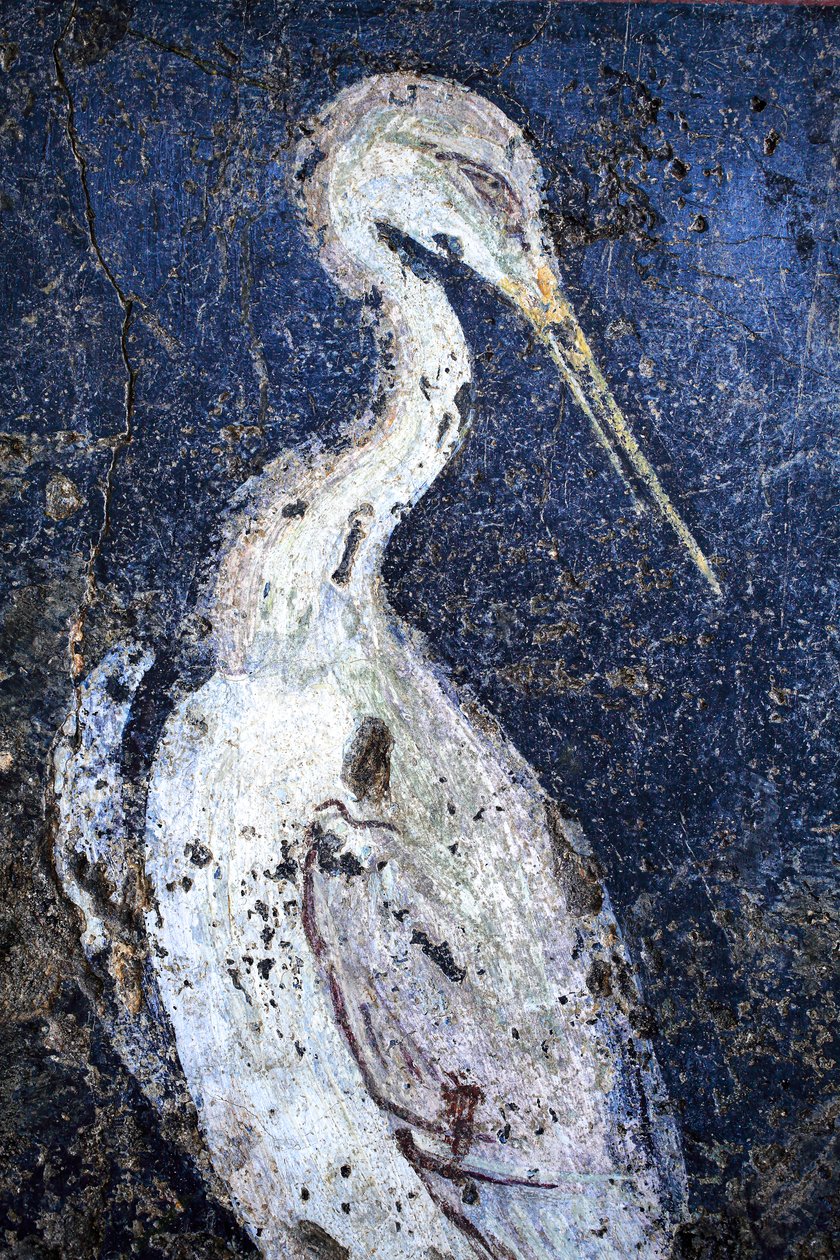 Roma duvar resimleri by Gallo-Roman