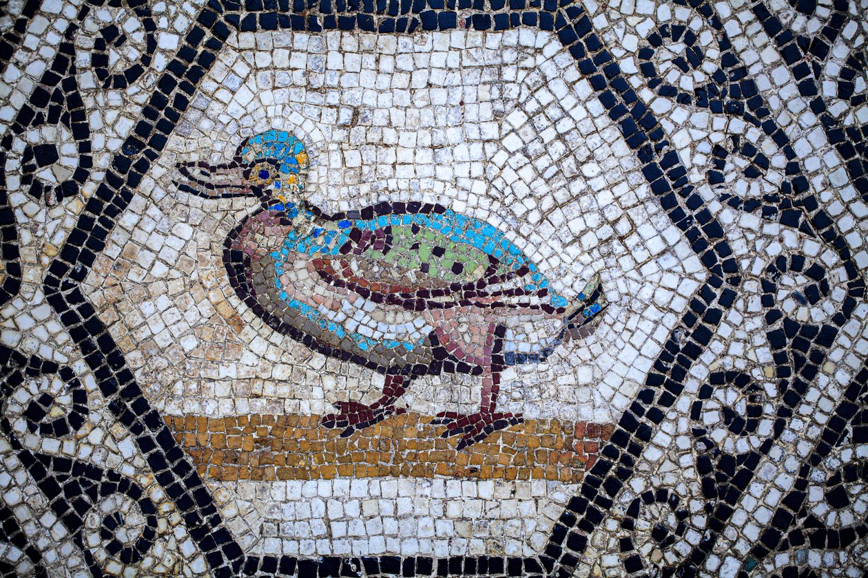 Roma mozaiği by Gallo-Roman Gallo-Roman