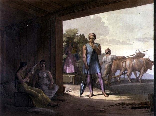 Hint Cizvitleri (renkli gravür) by Gallo Gallina
