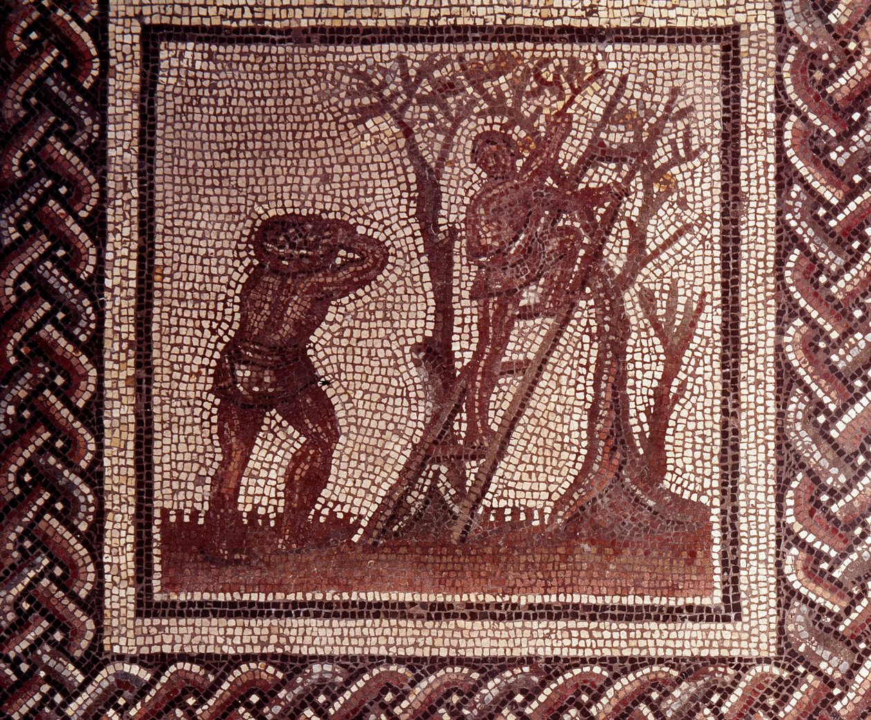Gallo Roman Art: rustik bir takvimi temsil eden mozaik döşeme. Zeytin toplama sahnesi. JC