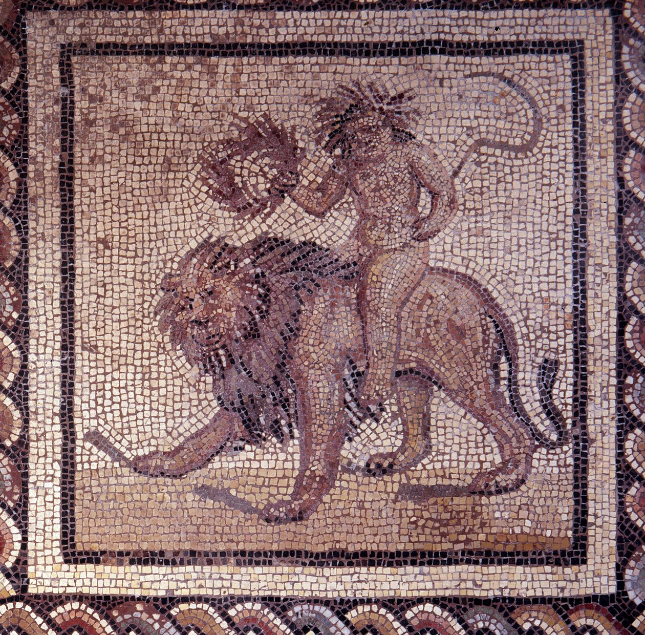 Gallo Roman Art: rustik bir takvimi temsil eden mozaik döşeme. Bir aslan hakkında yaz alegorisi. JC