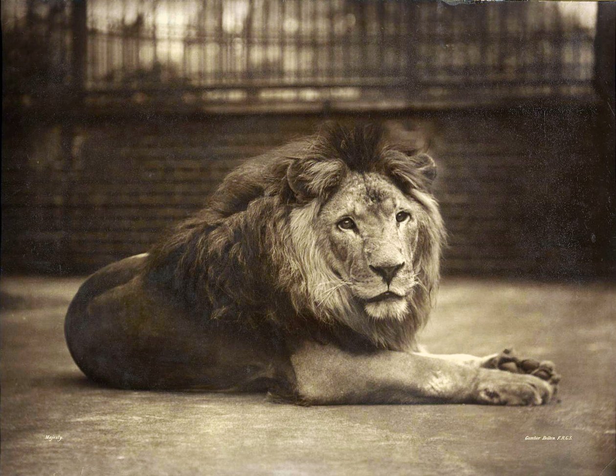 Majestelerinin Portresi, c.1890 by Gambier Bolton