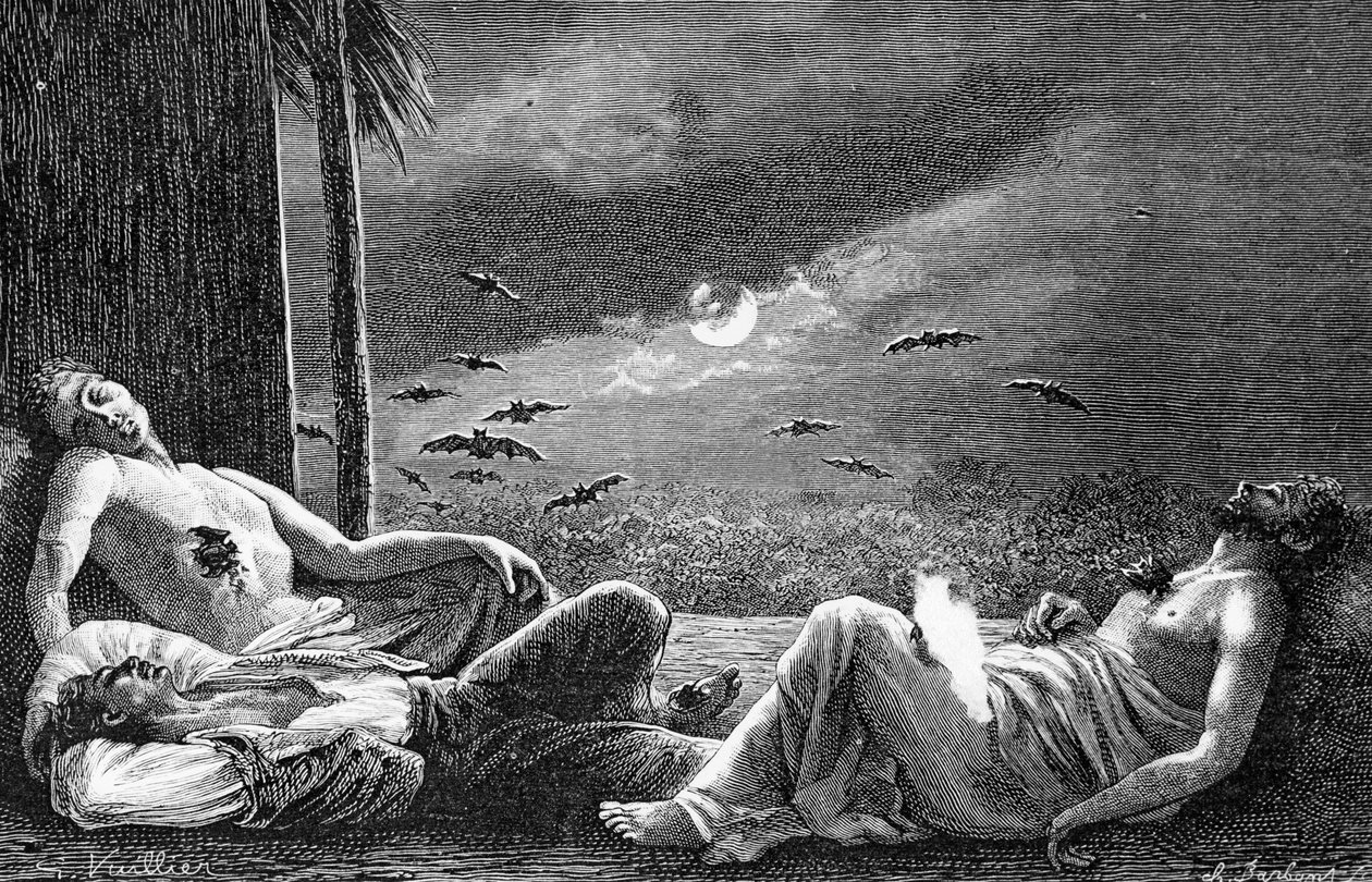 Uyuyan insanları besleyen Vampir Yarasalar, 1890 dolayları by Gaston Vuillier