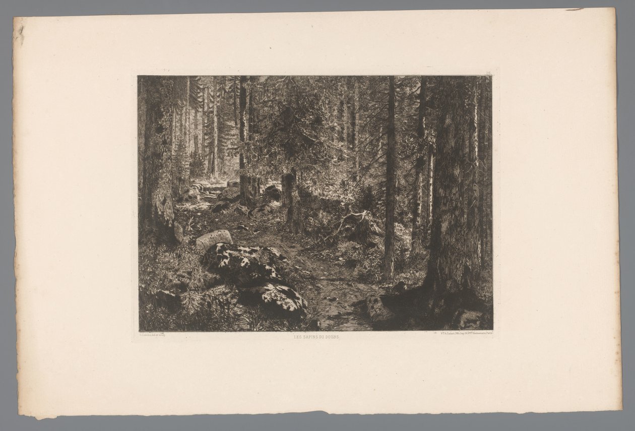 Boslandschap Les sapins du Doubs (nesne üzerindeki başlık) Franse etsen uit 1876 (seri başlığı) 1876'da gravür (seri başlığı) by Gaston Coindre