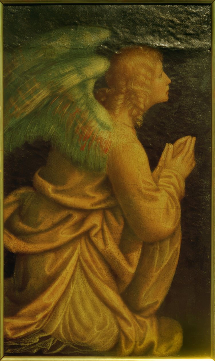 ibadet eden melek by Gaudenzio Ferrari