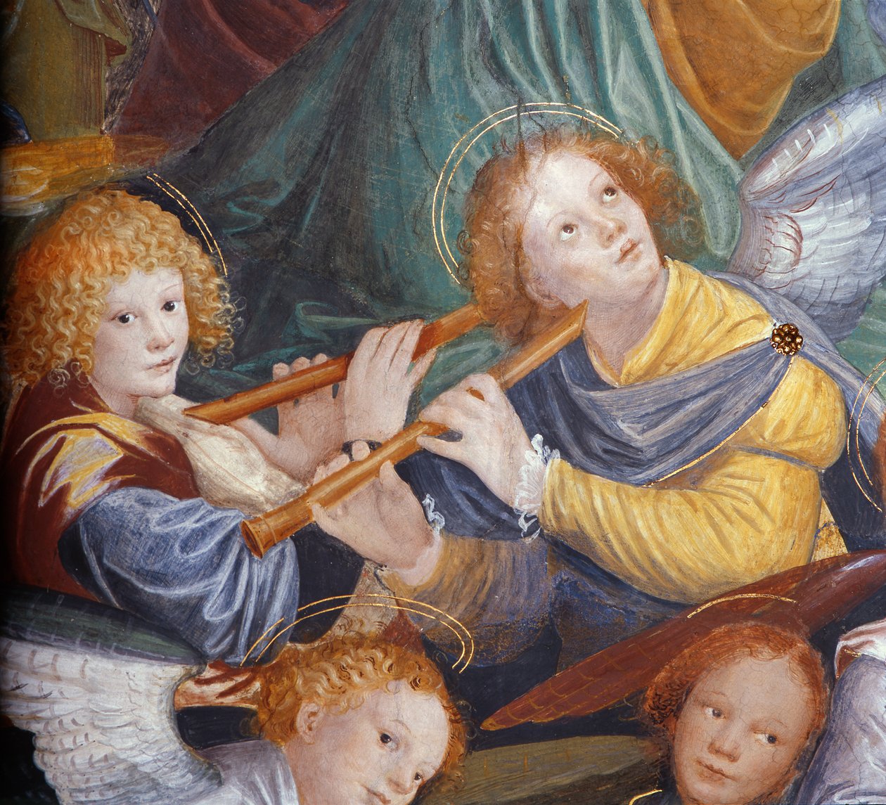 Melekler Konseri, 1534-36 (detay) (bkz. 175762) by Gaudenzio Ferrari