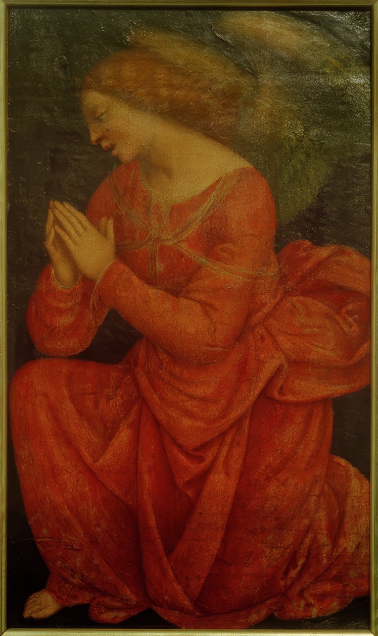 ibadet eden melek by Gaudenzio Ferrari