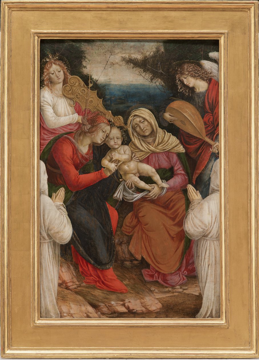 Madonna ve Çocuk, St Anne ve Bağışçılar, 1508-09 by Gaudenzio Ferrari