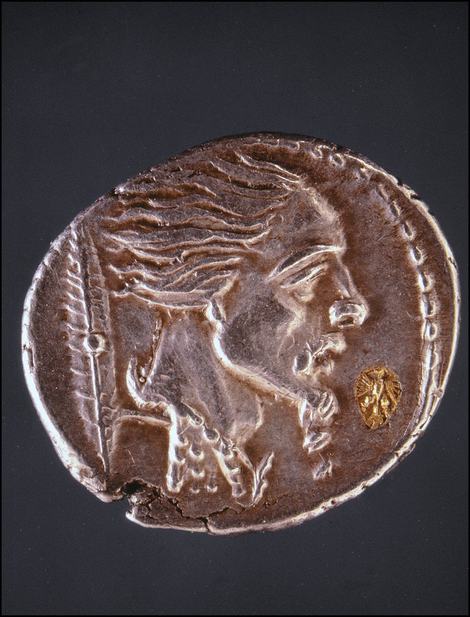 Bir Gauloise parçası üzerinde Vercingetorix