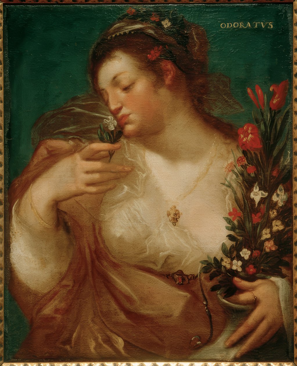 Odoratus by Geldorp Gortzius
