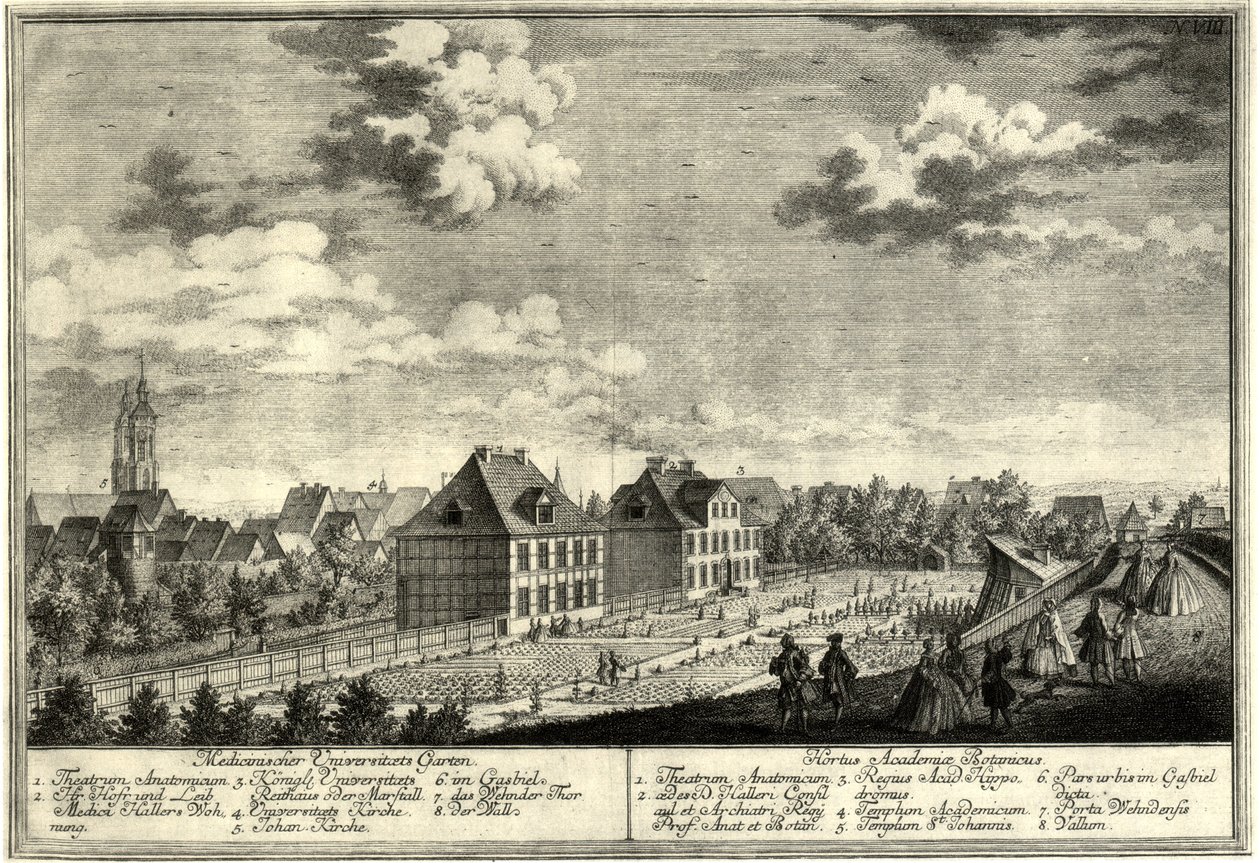 Göttingen Eski Botanik Bahçesi by Georg Daniel Heumann