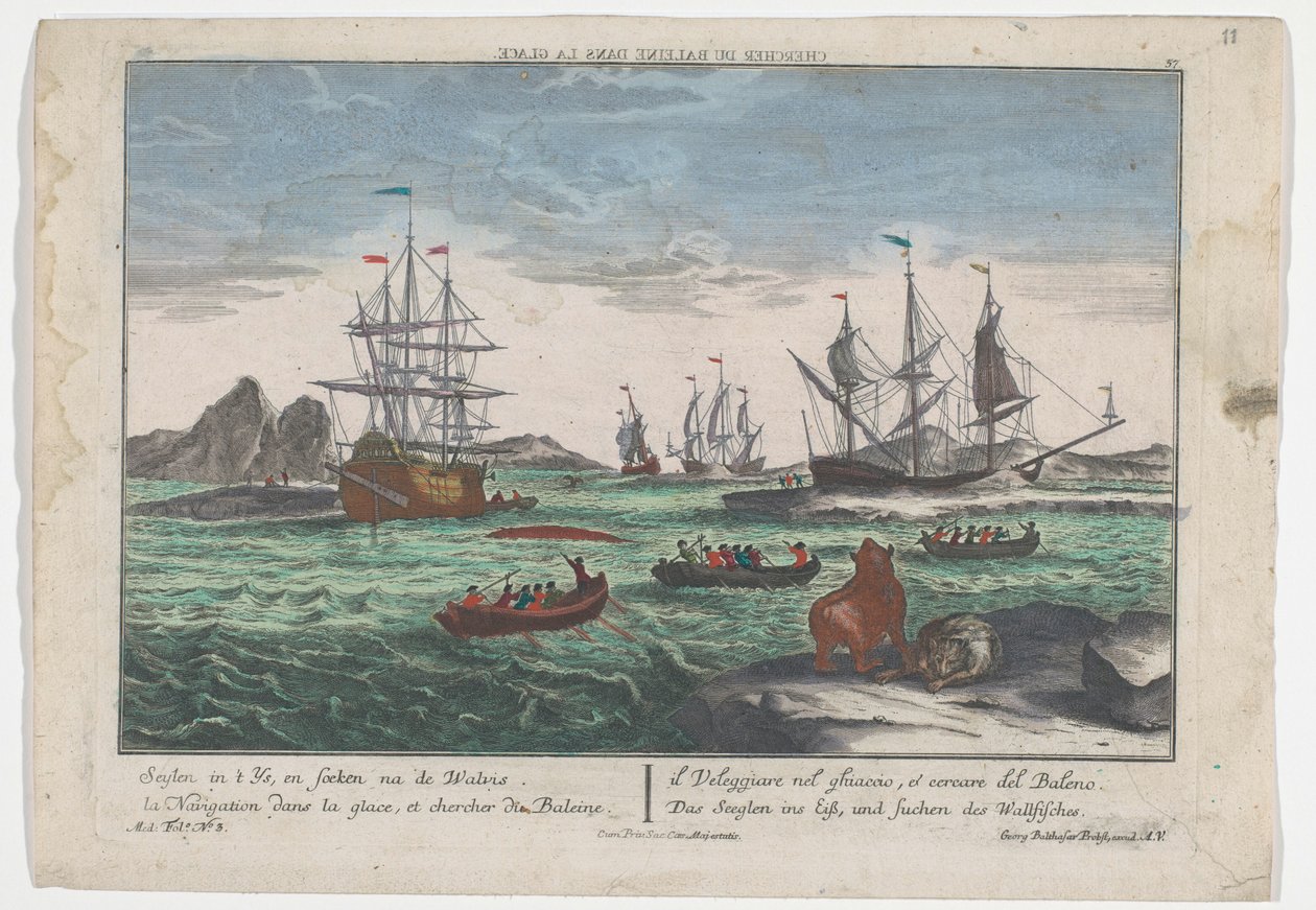 Balinalar için arama görünümü Das Seeglen ins Eiß, und Suchen des Wallfisches (nesne üzerine başlık) Grönland açıklarında balina avcılığı (dizi başlığı) by Georg Balthasar Probst