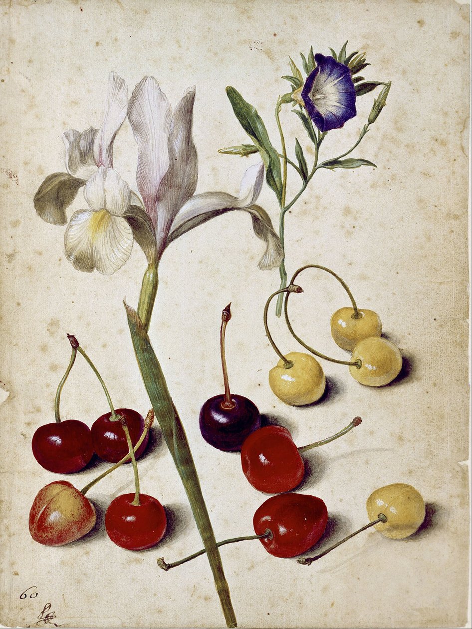  by Georg Flegel