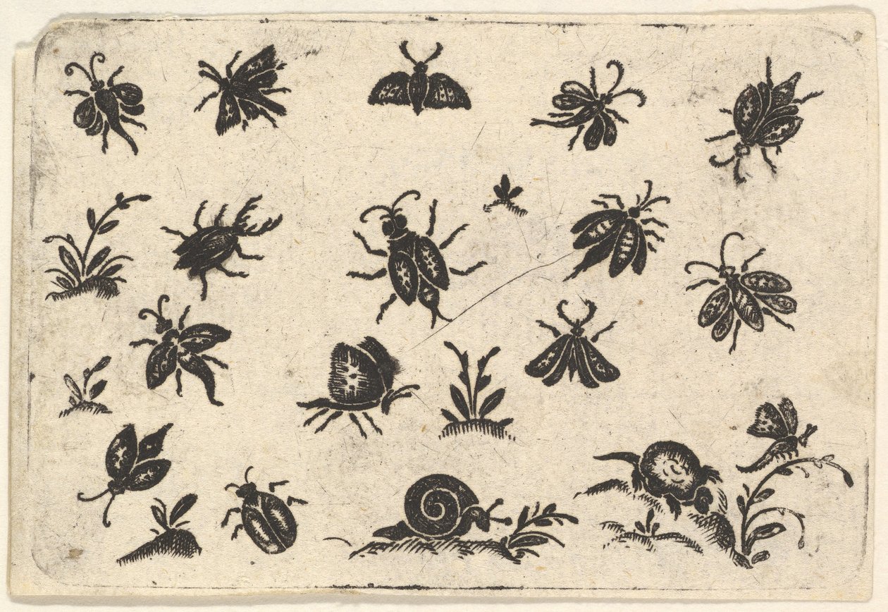 Küçük Böcek ve Bitki Motifleri, 1596. by Georg Herman
