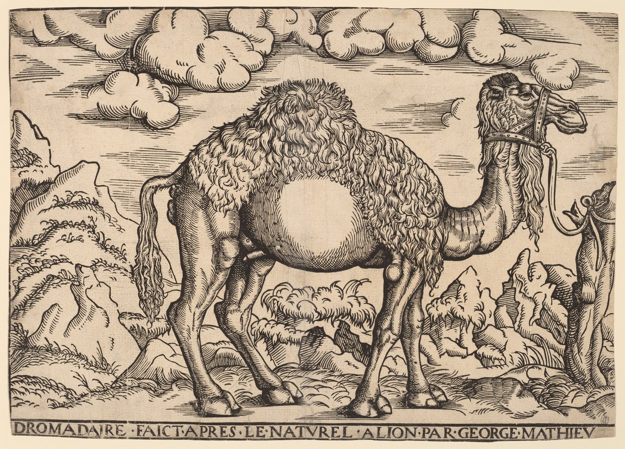 bir höyük by Georg Mattheus