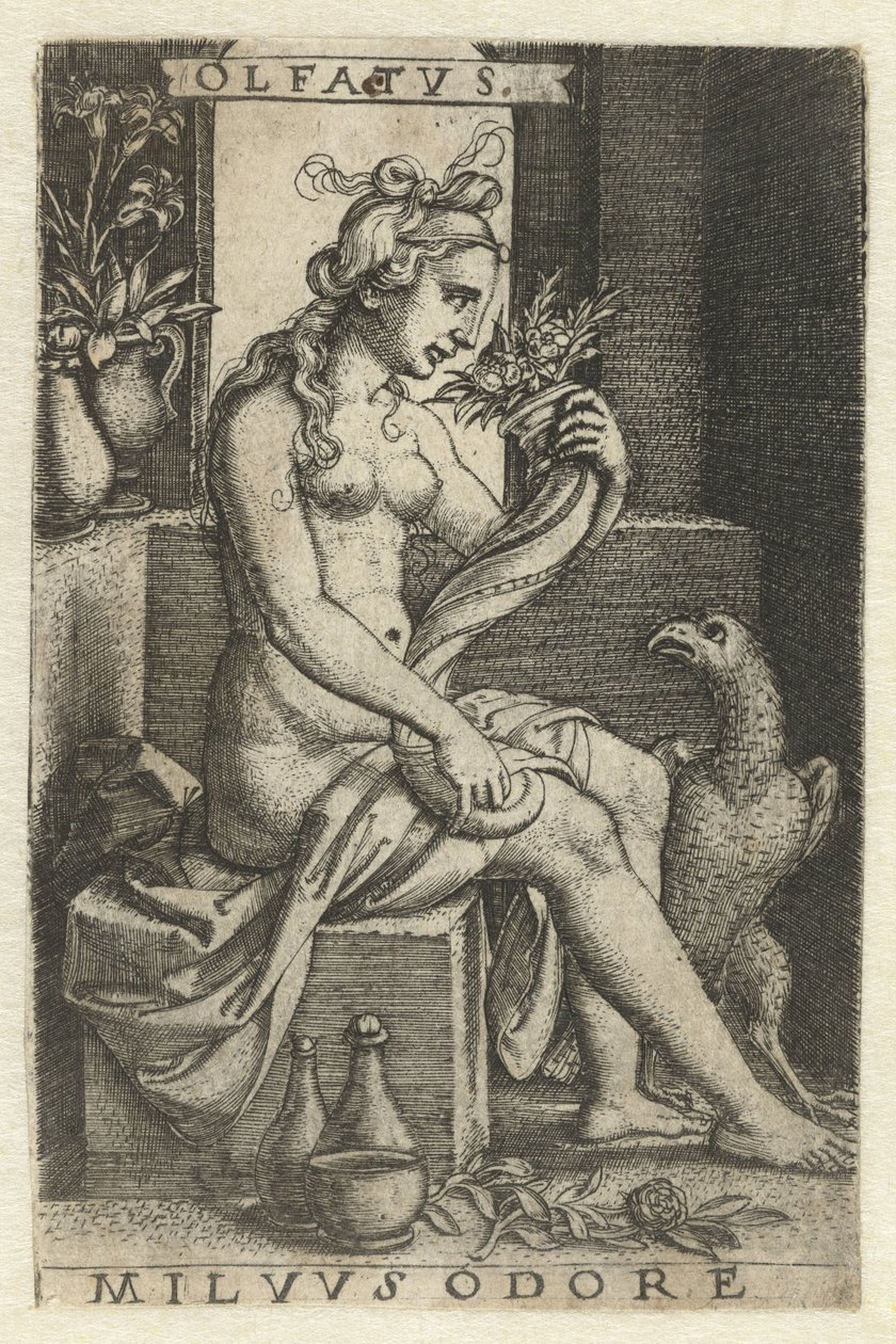 Koku (Olfaktus) Olfatvs milvvs odore (nesne üzerindeki başlık) Five Senses (dizi adı) by Georg Pencz