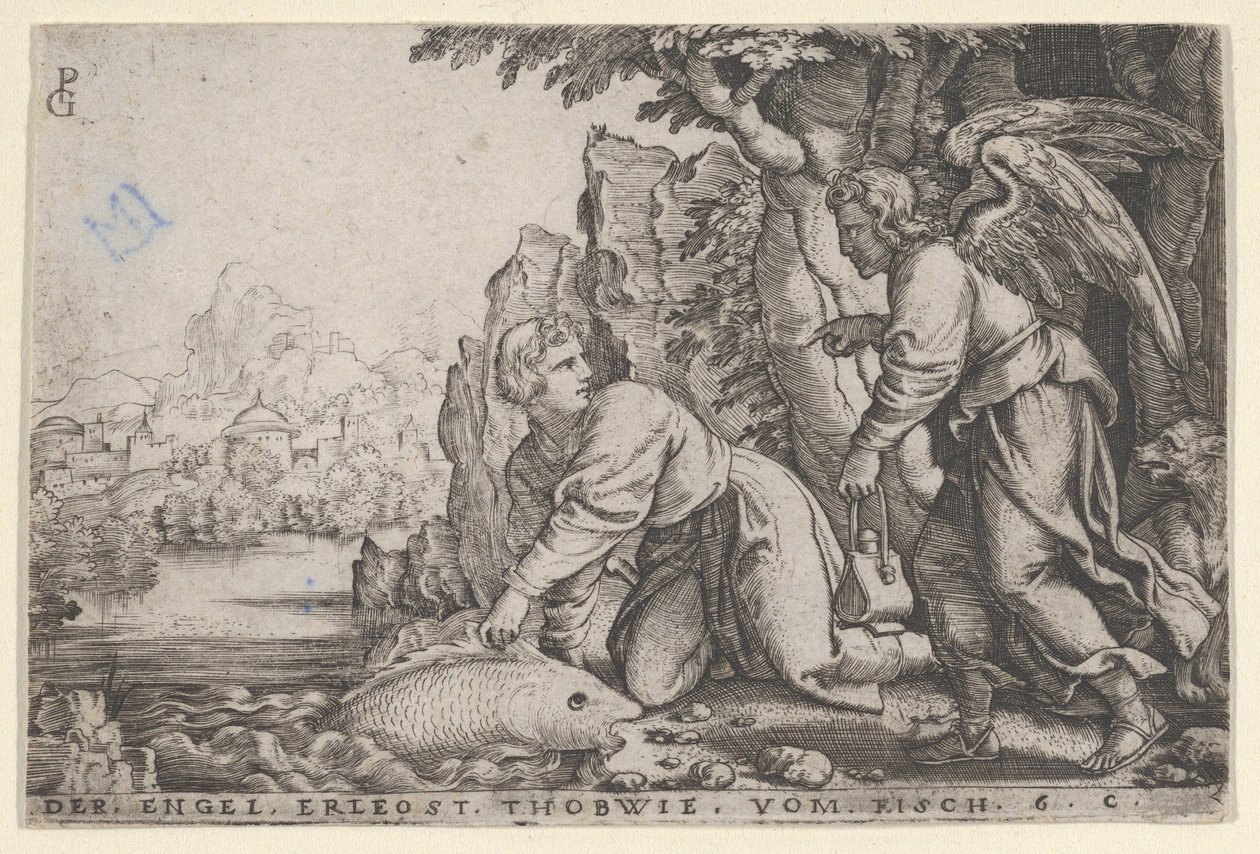 Tobiolus, Tobias