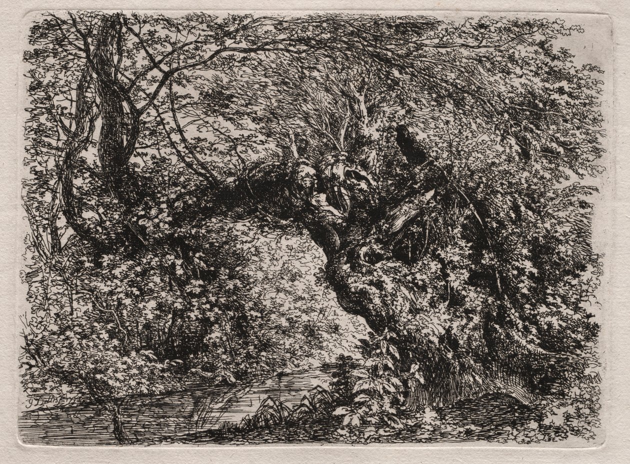 Deredeki Yaşlı Söğüt, 1794. by Georg von Dillis