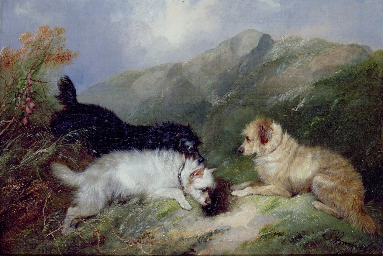 Teriyerler by George Armfield