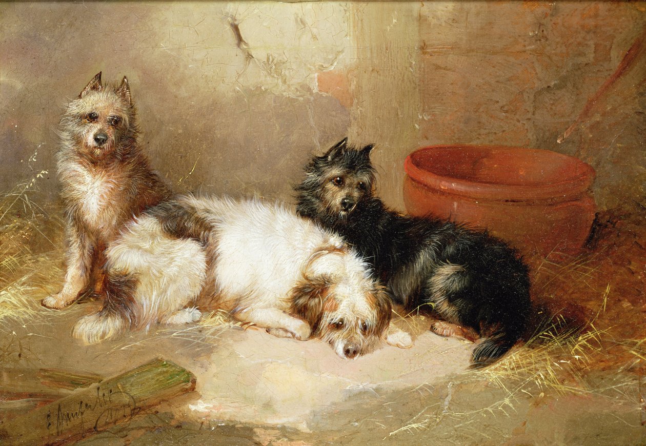Üç Teriyer by George Armfield