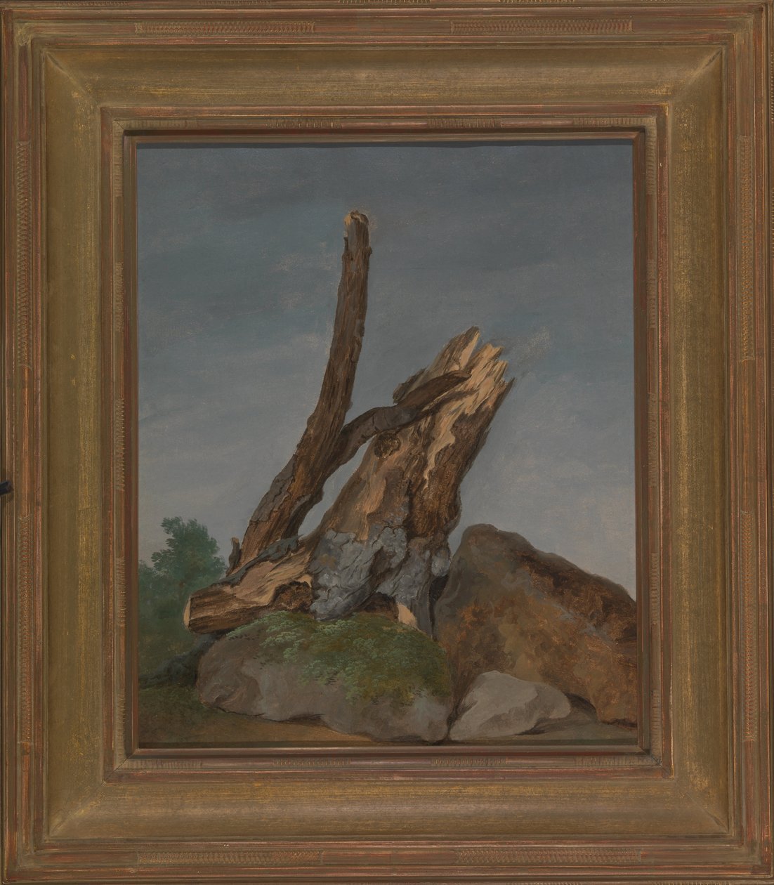 Kayalar ve Dallar Çalışması by George Augustus Wallis