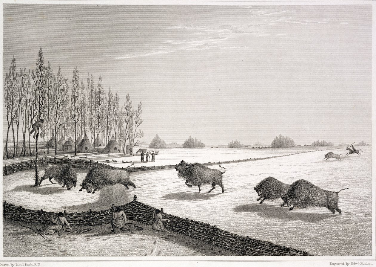 Edward Finden (1791-1857) 1823 tarafından kazınmış John Franklin (1786-1847) tarafından 