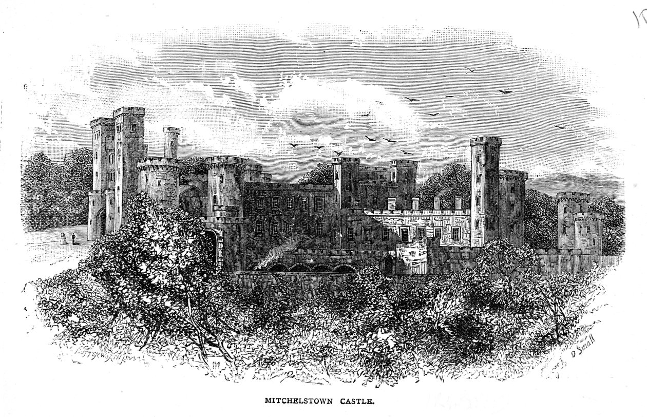 D. Small tarafından oyulmuş Mitchelstown Kalesi by George Butterworth