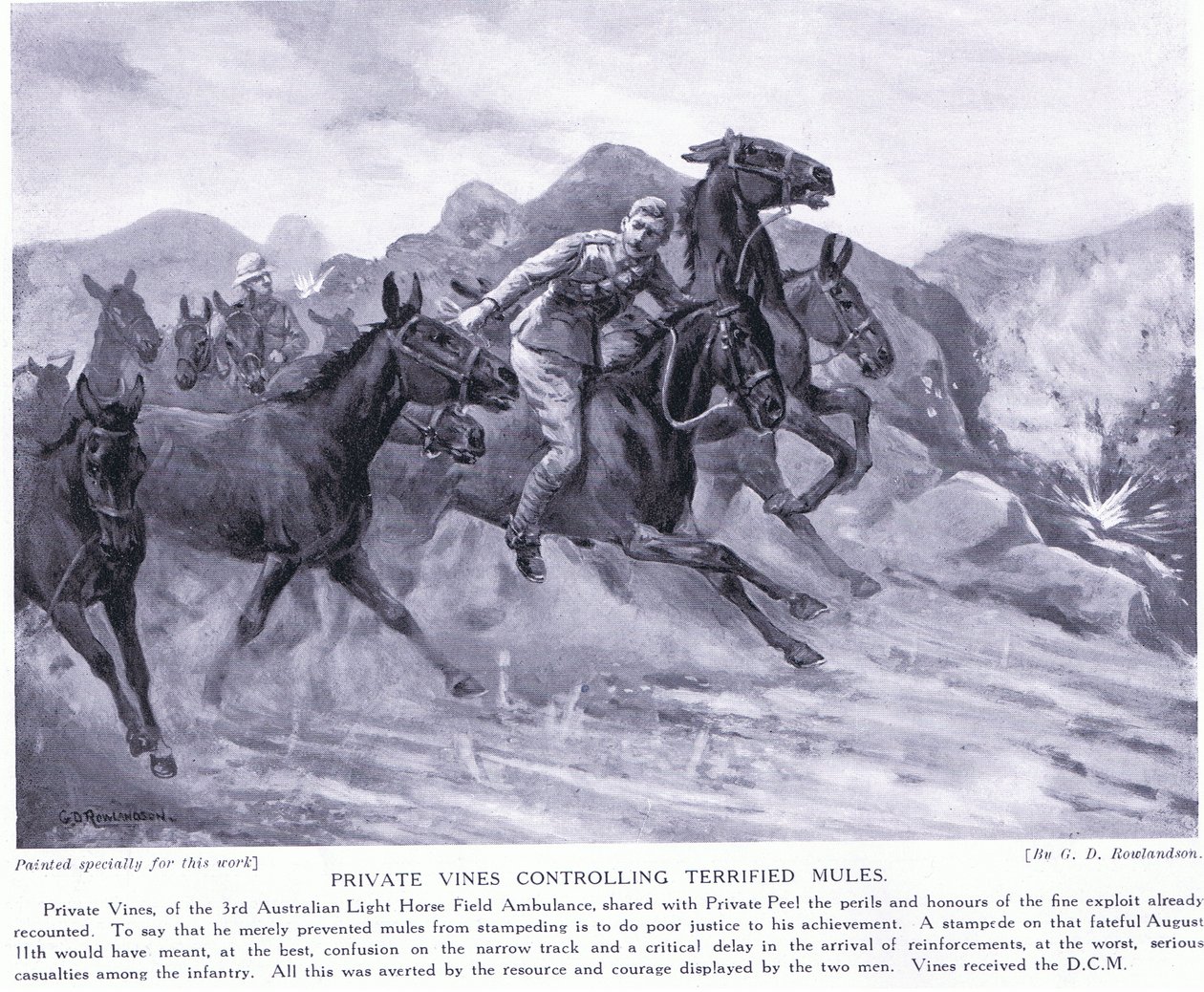 Private Vines, Ağustos 1915