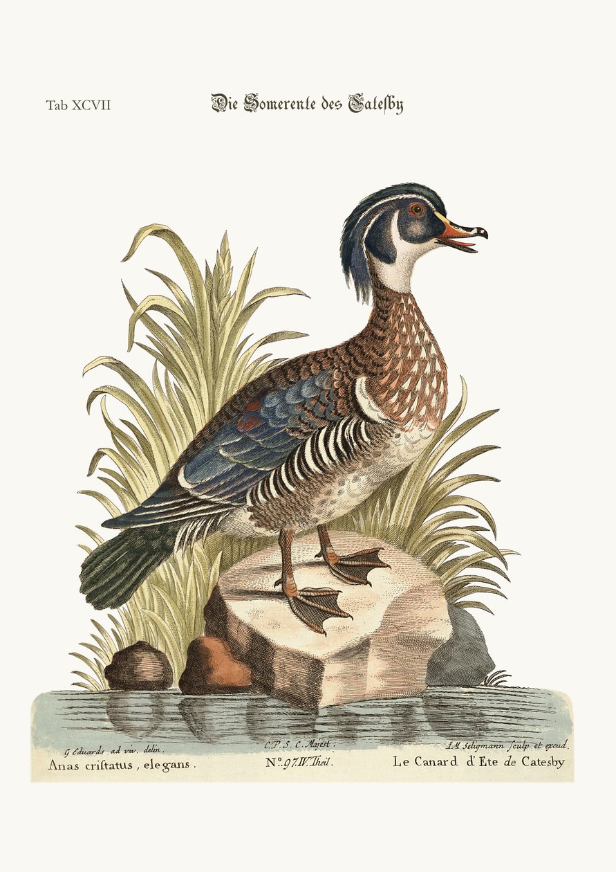 Catesby