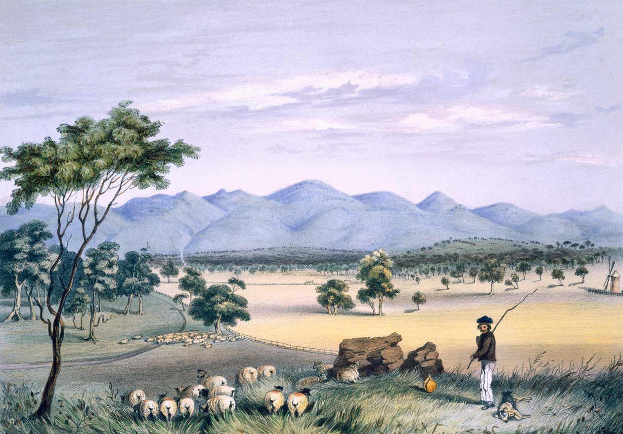 Lynedoch Vadisi, 1847
