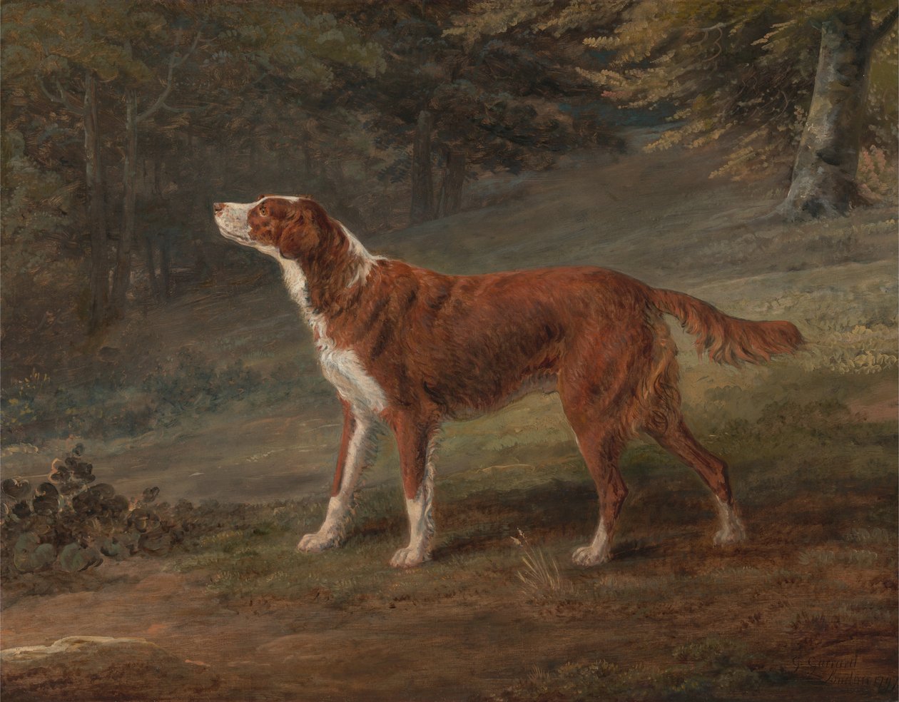 korucu by George Garrard
