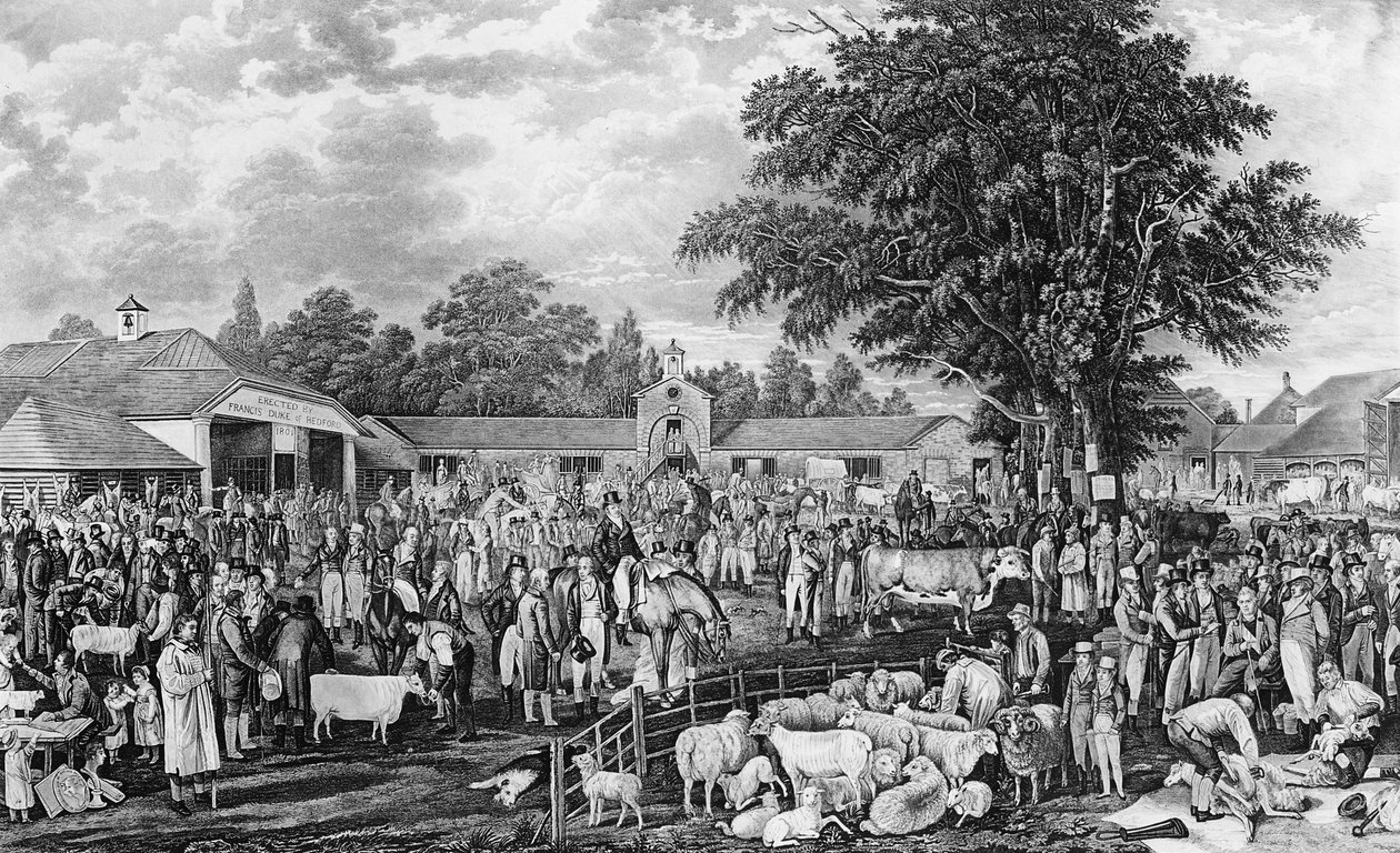 Woburn Koyun Kırkımı, Thomas Morris tarafından kazınmış, 1811 by George Garrard