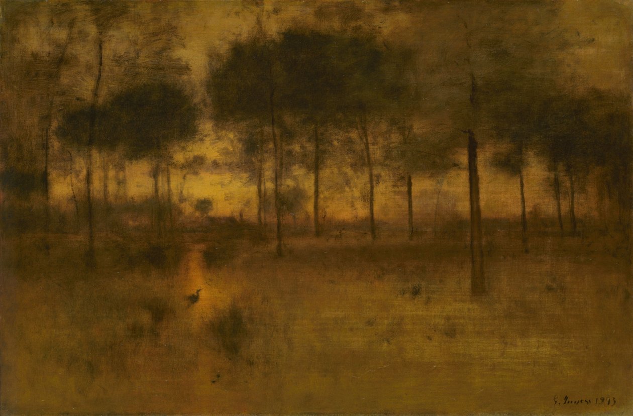 Balıkçıl Evi by George Inness