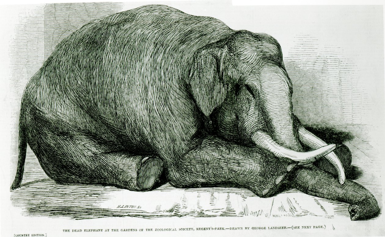 The London Illustrated News