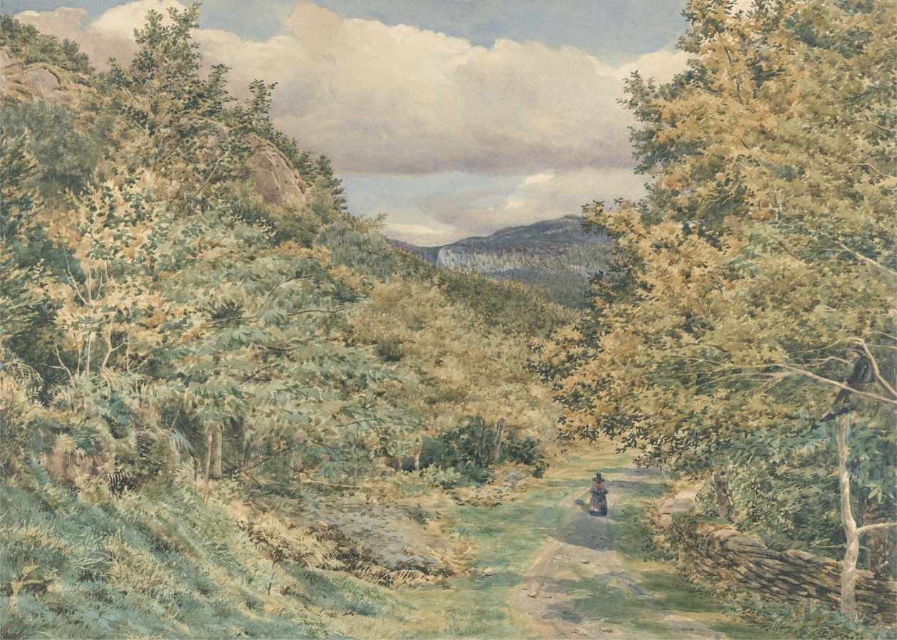 Bettws-y-Coed yakınlarında bir yol, 1851 (kağıt üzerinde grafit üzerinde wc) by George Price Boyce