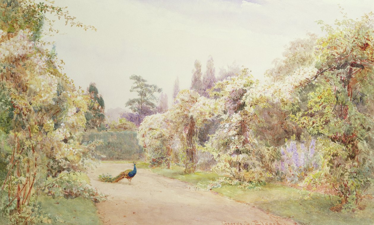 ನವಿಲು ತುರ್ಕಿಯೊಂದಿಗೆ ಬೇಸಿಗೆ ಉದ್ಯಾನ by George Samuel Elgood