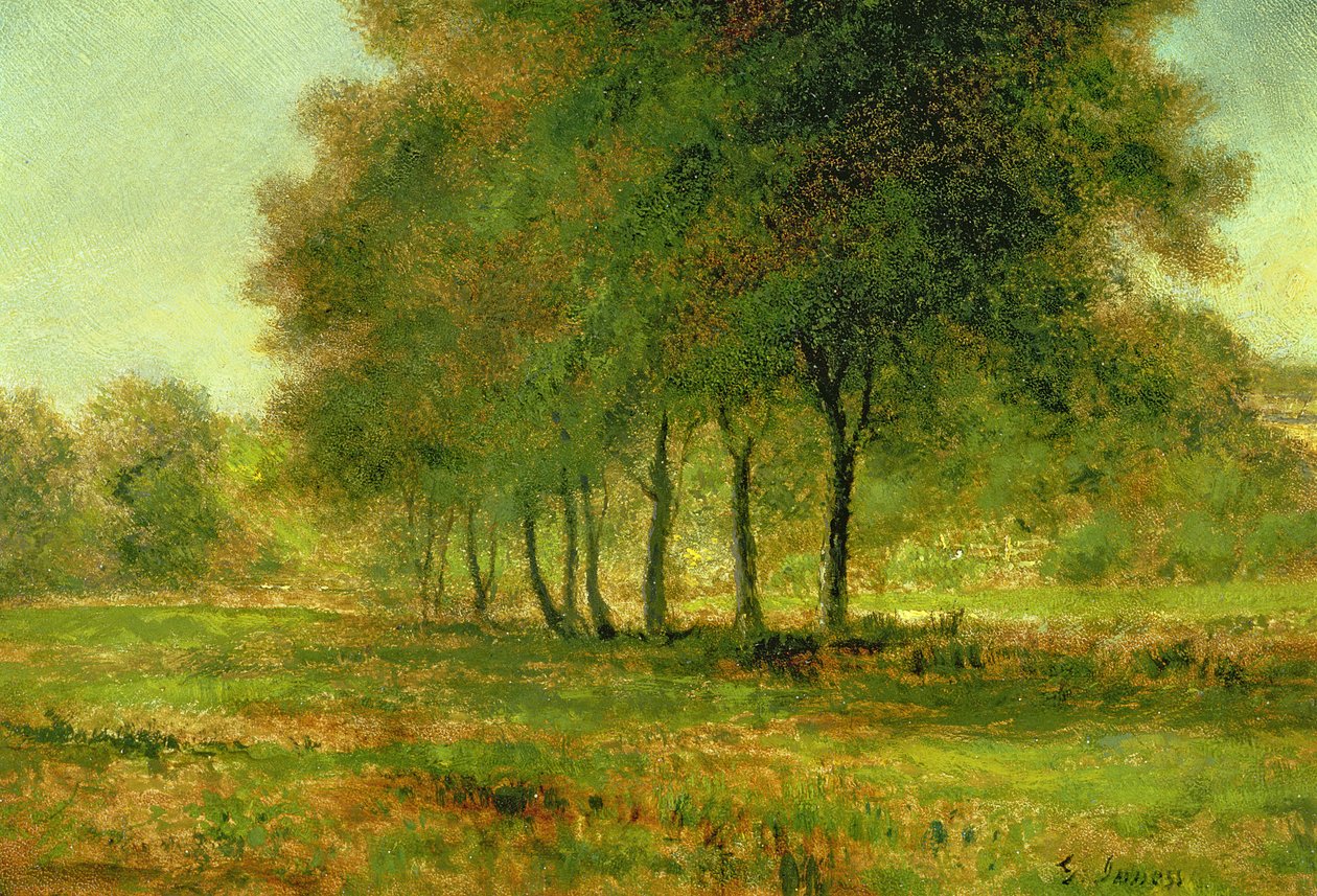 Yaz mevsimi by George Inness