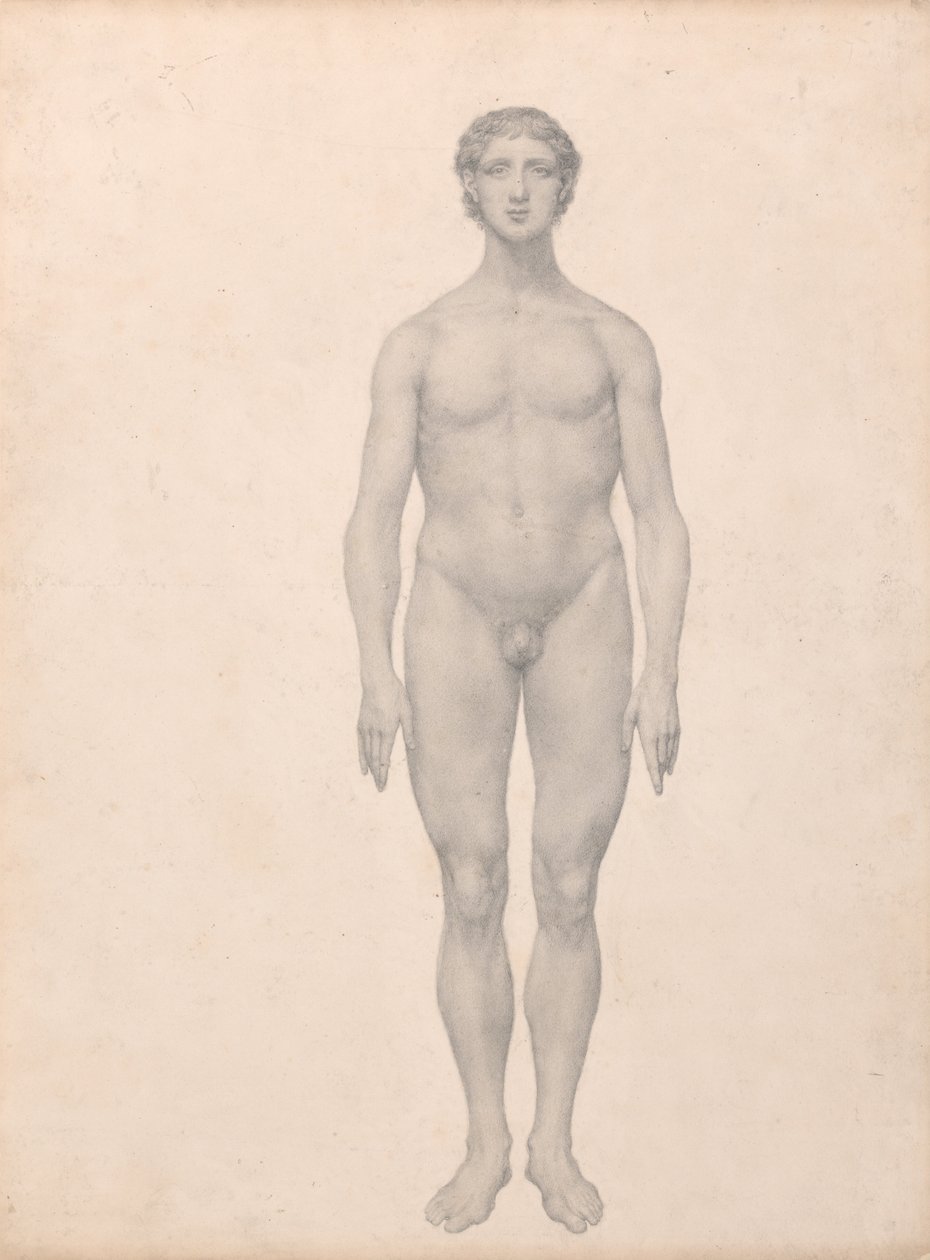 İnsan Vücudunun Yapısının Bir Kaplanın Yapısı ile Mukayeseli Bir Anatomik Gösterimi ve Bir... by George Stubbs