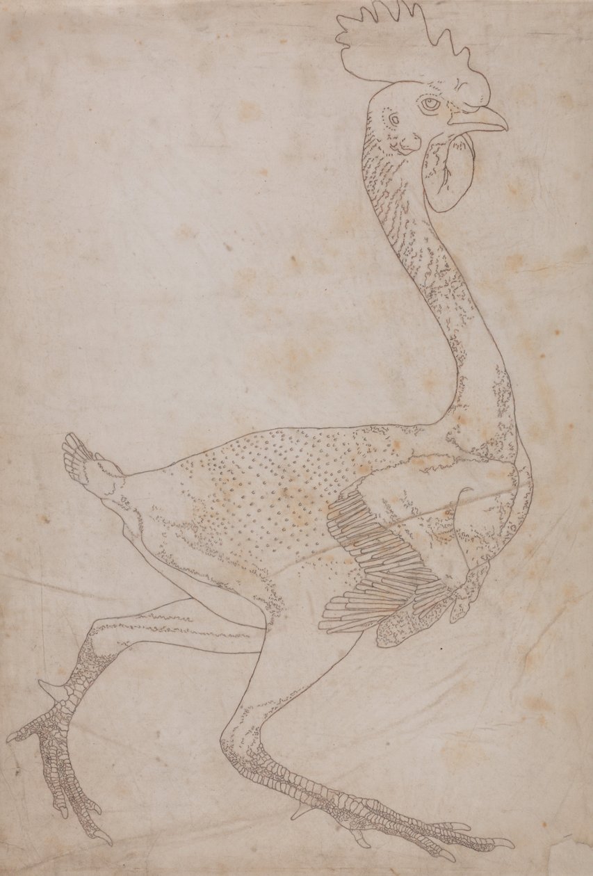 İnsan Vücudunun Yapısının Bir Kaplanın Yapısı ile Mukayeseli Bir Anatomik Gösterimi ve Bir... by George Stubbs