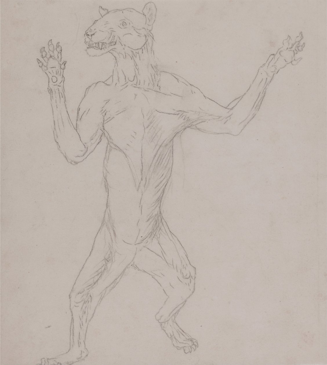 İnsan Vücudunun Yapısının Bir Kaplanın ve Bir Ko... by George Stubbs