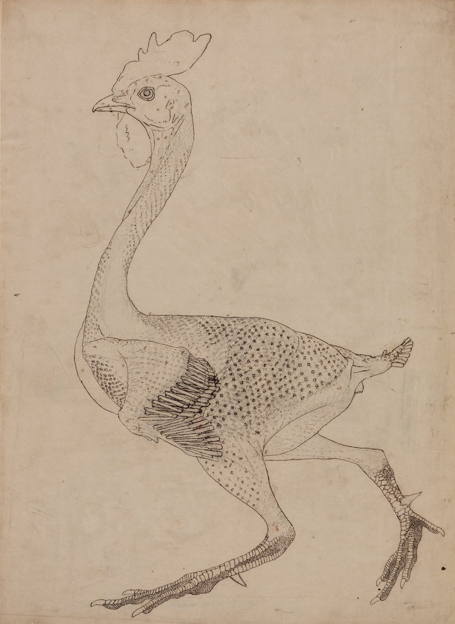 İnsan Vücudunun Yapısının Bir Kaplanın ve Bir Ko... by George Stubbs