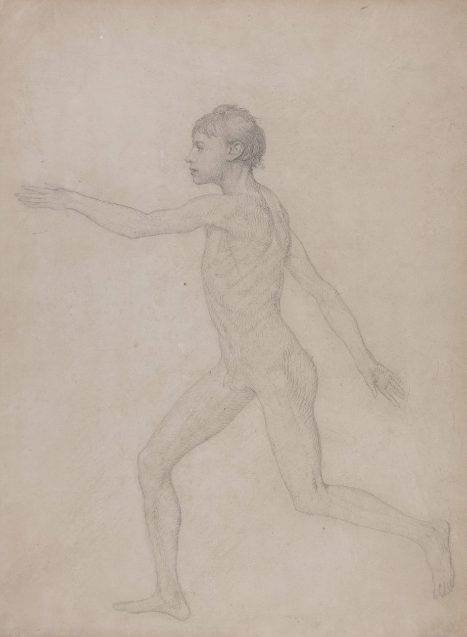 İnsan Vücudunun Yapısının Bir Kaplanın ve Bir Ko... by George Stubbs