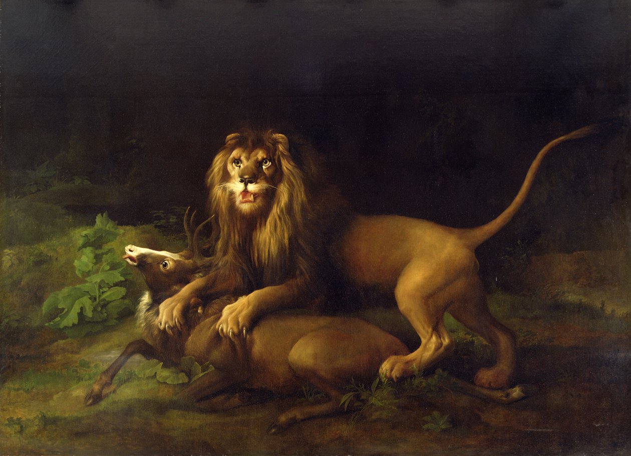Geyiğe Saldıran Aslan, c.1765 by George Stubbs