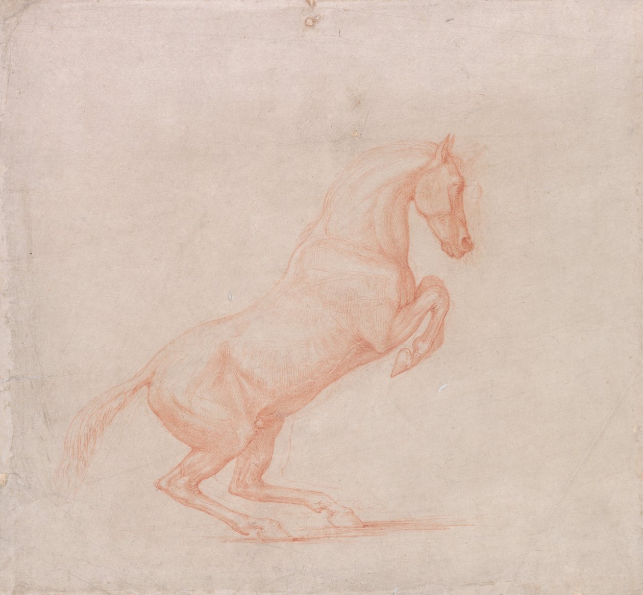 Sağa Bakan Şahlanan At by George Stubbs