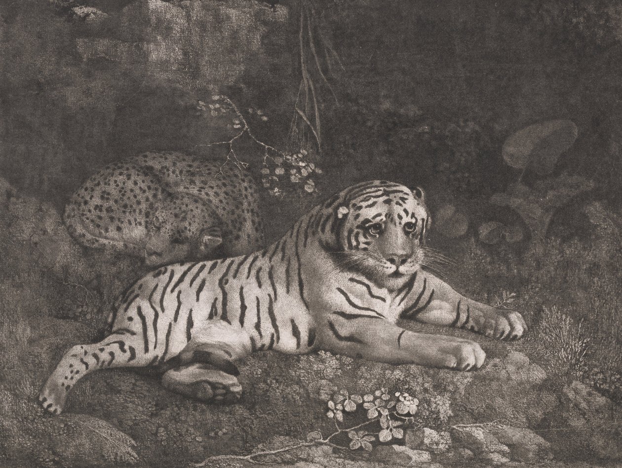 Kaplan ve Uyuyan Leopar by George Stubbs