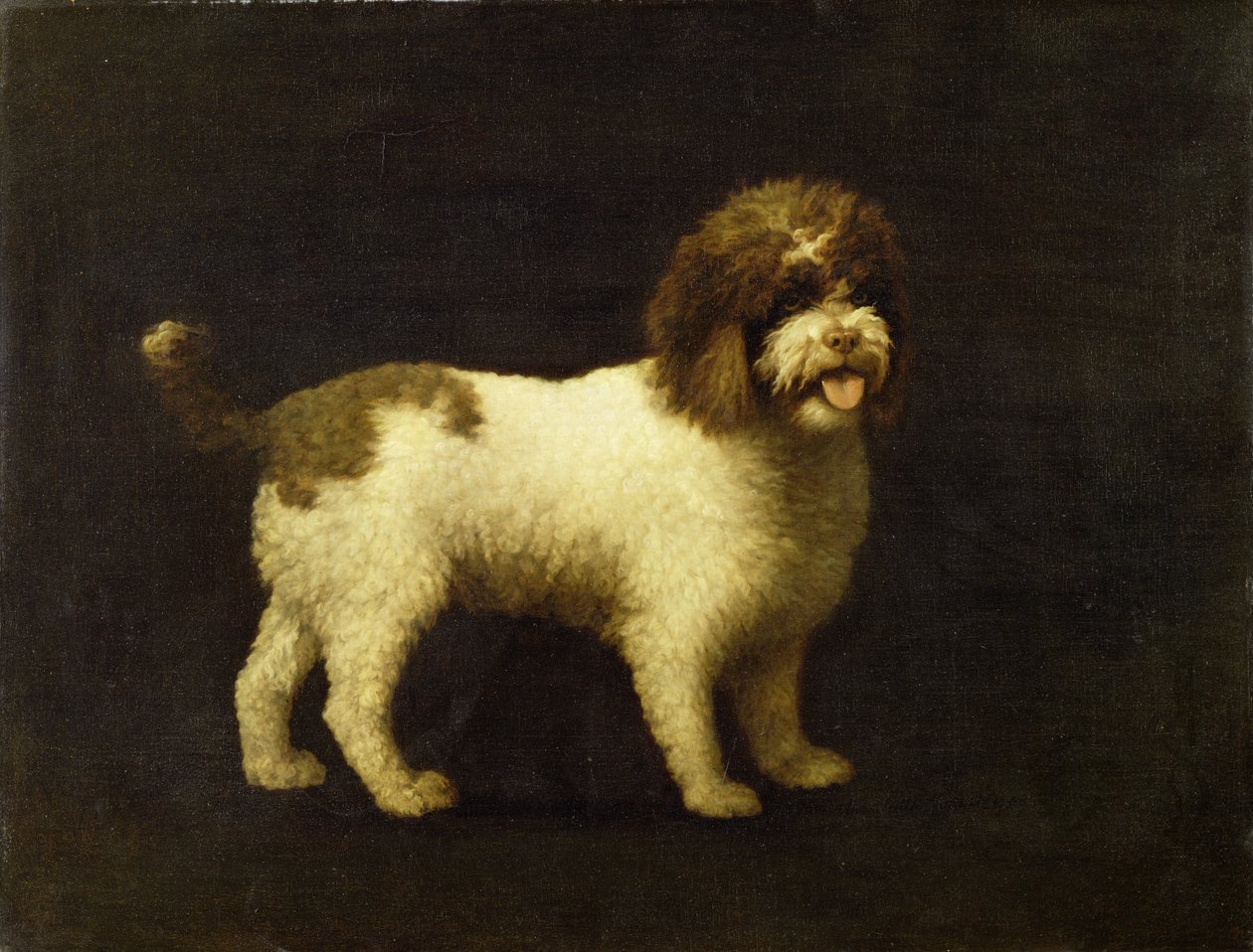 Bir Su Spanieli, 1769 by George Stubbs