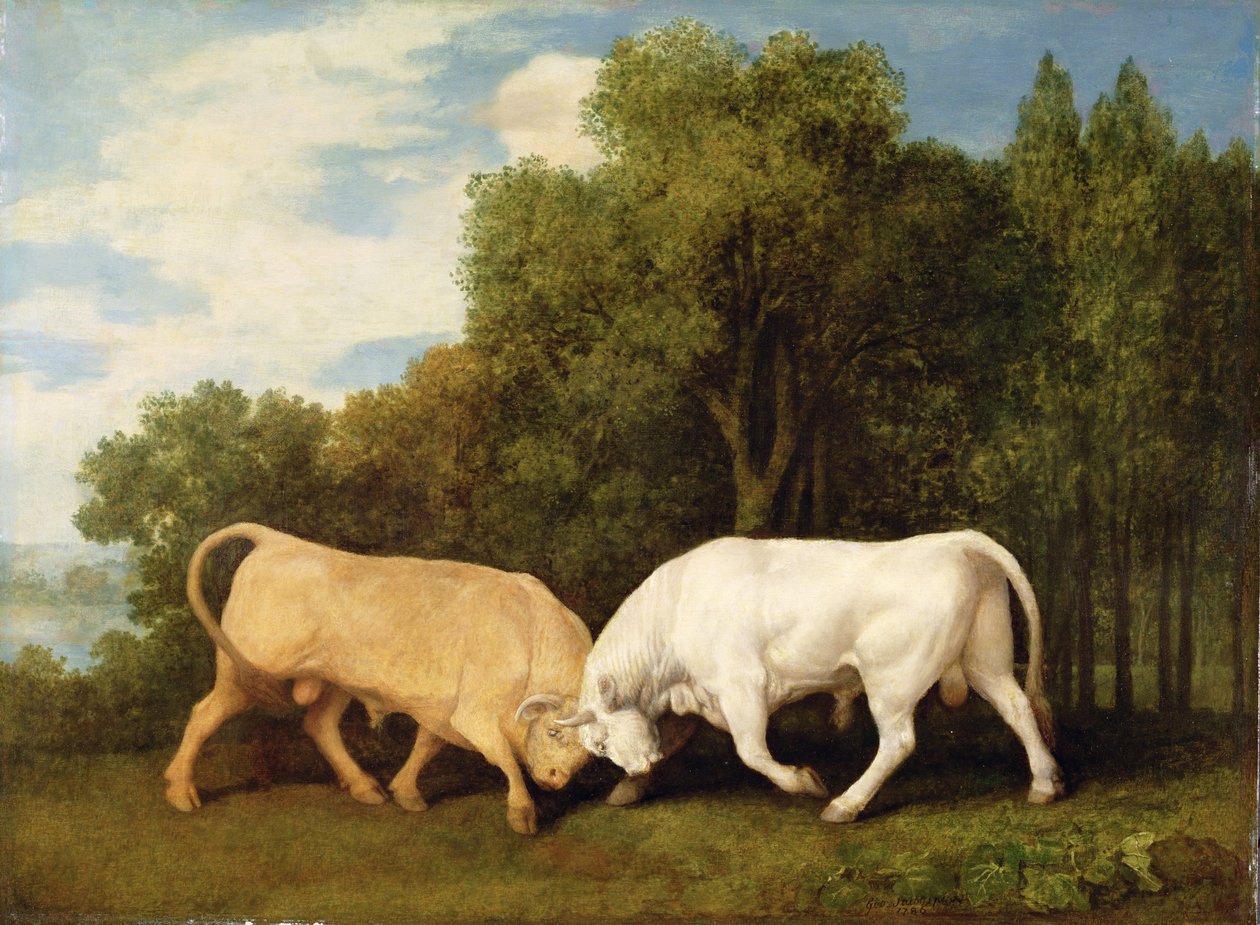 Boğa Dövüşü, 1786 by George Stubbs