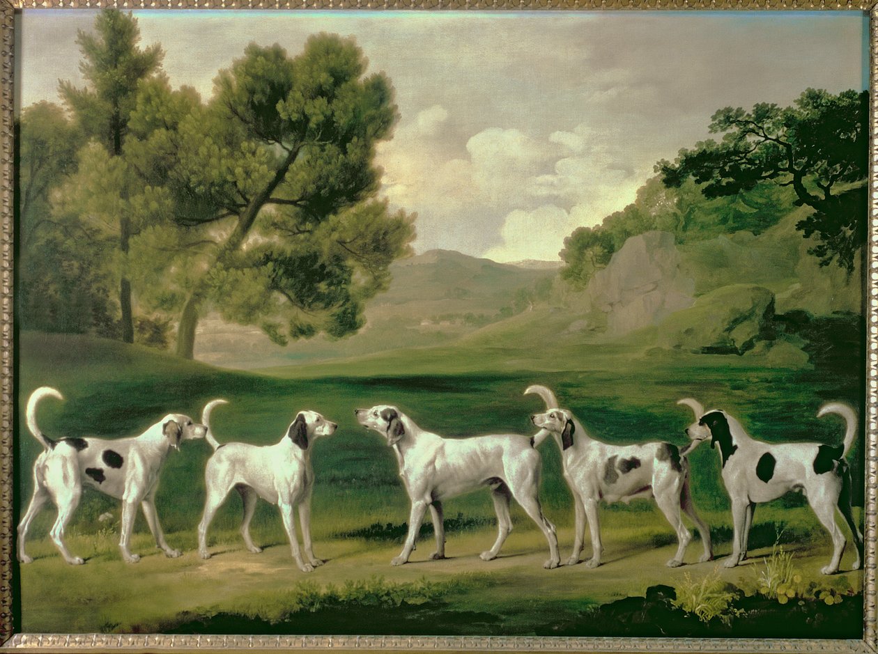Bir manzaradaki tilki köpekleri, 1762 by George Stubbs