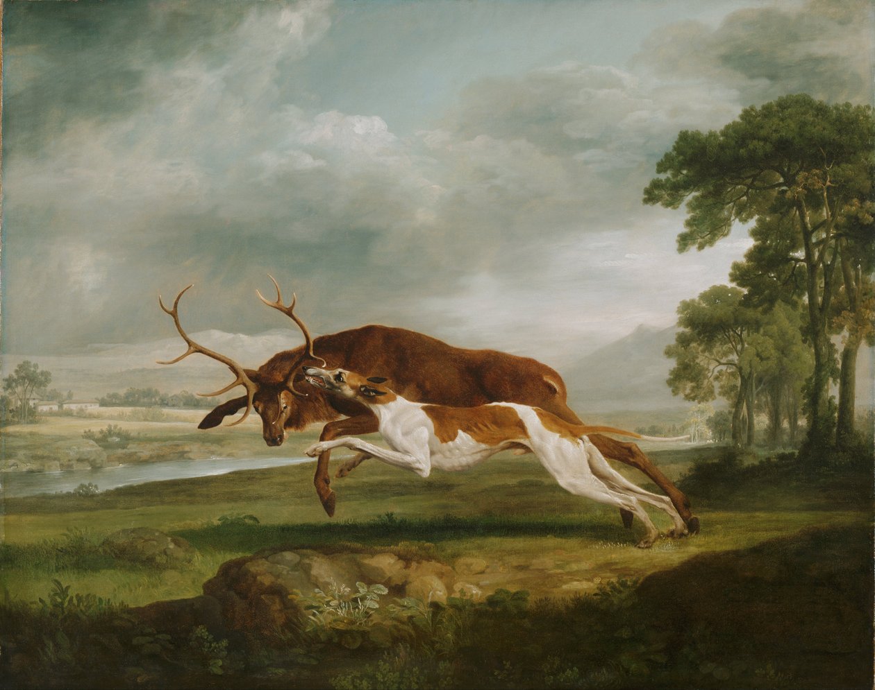 Geyik Sürerken Tazı by George Stubbs
