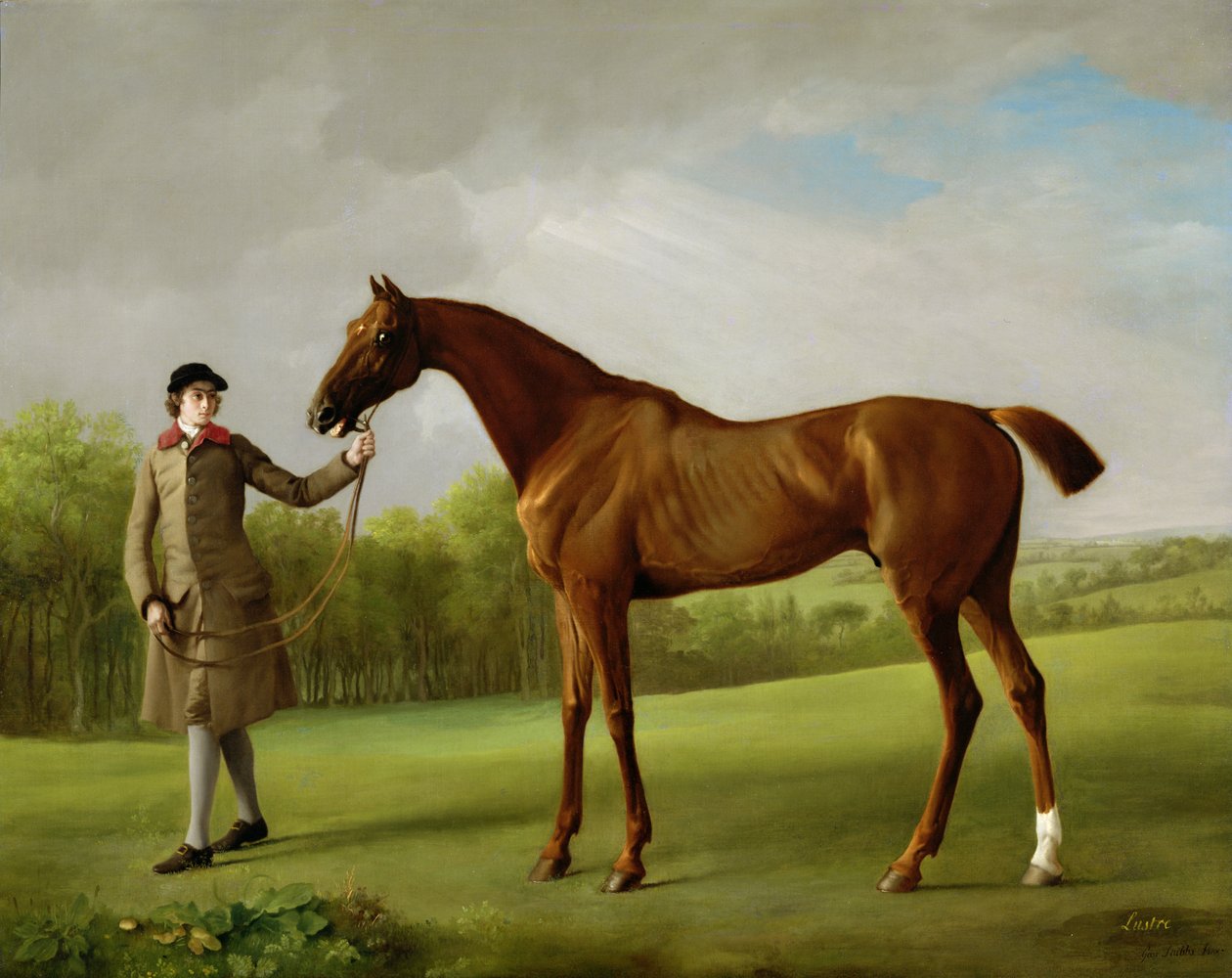 Bir Damat tarafından tutulan parlaklık, c.1760-62 by George Stubbs